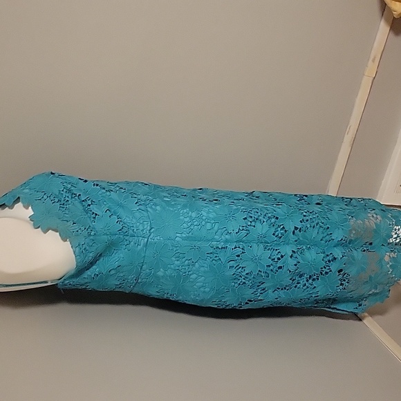 Bisou Bisou Lace Cocktail Dress - Picture 4 of 6